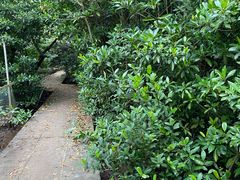 -东寨港红树林旅游区