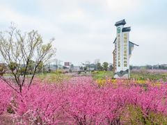-桃花岛景观公园