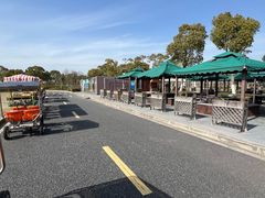 -春花秋色城市公园