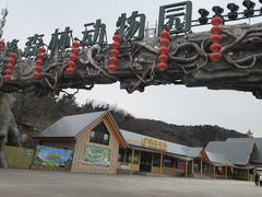 -大连森林动物园