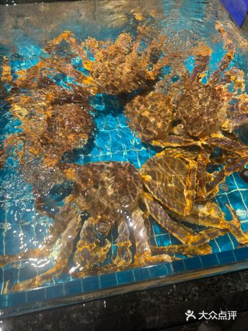 第三次来吃了,无敌好吃储值有免单活动,第一次和老公来