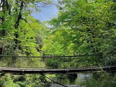 -龙苍沟森林公园