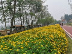 -夏河溪乡野公园