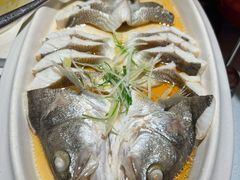-蒸膳坊(王寨店)