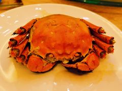 阳澄湖大闸蟹-民族饭店-四季餐厅