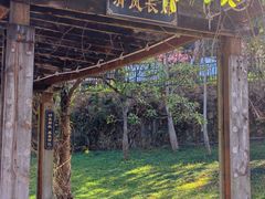 -风云岭森林公园