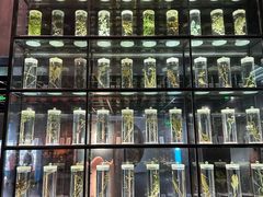 -广东中医药博物馆