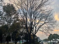 -襄阳古城