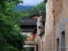 -杨家堂村