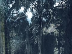 -成都老君山