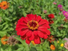 -长安大学(北校区)