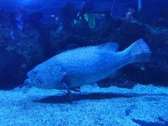 -成都浩海立方海洋公园