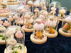 -万达广场(武汉菱角湖店)