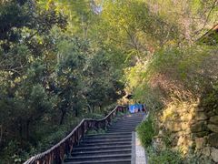 -宜春明月山维景国际温泉度假酒店
