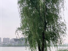 -蠡湖大桥公园