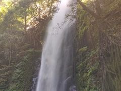 -莫里热带雨林景区