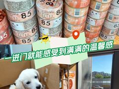 -艾贝尔宠物医院·24H转诊中心·肿瘤猫专科(江宁双龙店)