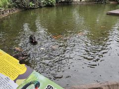 -海南热带野生动植物园
