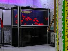 -绿岛汤泉韩式休闲会所