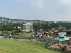 -迪茵湖田家舍生态农场