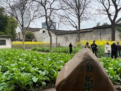 -绍兴鲁迅故里·沈园景区