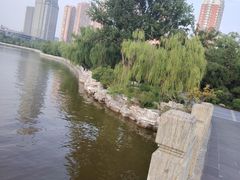 -迎泽公园