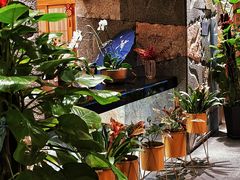 -京旬海鲜放题·铁板烧自助餐厅