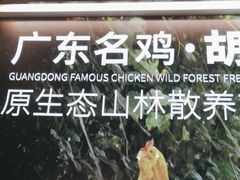 -野·大山里野生菌石锅土鸡(益田假日店)