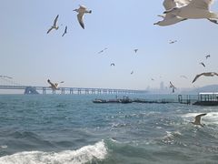 -星海广场