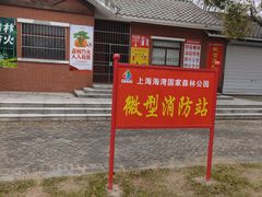 -上海海湾国家森林公园