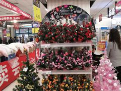 -AEON永旺超市(天津津南店)