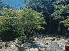 -西岭雪山大飞水景区