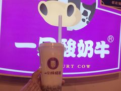 -一只酸奶牛(八一路店)