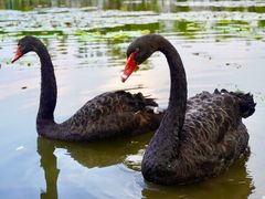 -长春市南湖公园