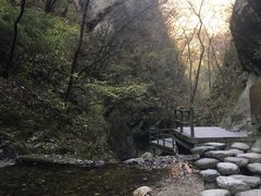 -牛背梁国家森林公园