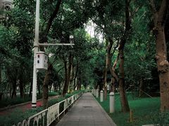 -燕晗山郊野公园