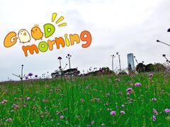-深圳湾公园(南山区)