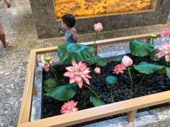 -南宫温泉水世界