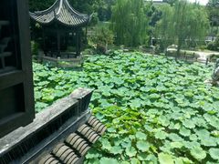 android_upload_pic-乌镇望津里精品酒店