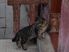 -广州兰圃