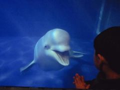-大连圣亚海洋世界
