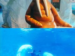 -泉城欧乐堡海洋极地世界