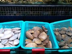 -海大大蒸汽海鲜餐厅·粤菜·特色小炒(欢乐颂店)
