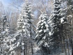 -长白山万达国际滑雪场