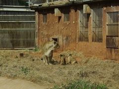 -昆明动物园