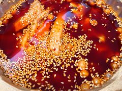 -新蜀会四川豆花(五羊店)