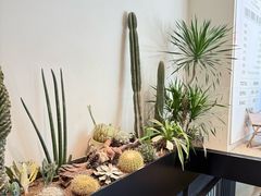 -J Create城市露营咖啡·简餐·宠物(上海动物园店)