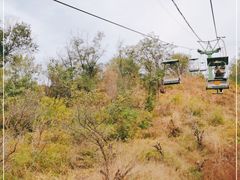 -磬锤峰森林公园