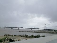 -南汇新城海滩