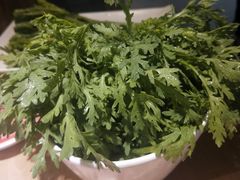 茼蒿-老版火锅(半坡店)